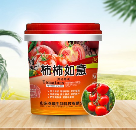 柿柿如意