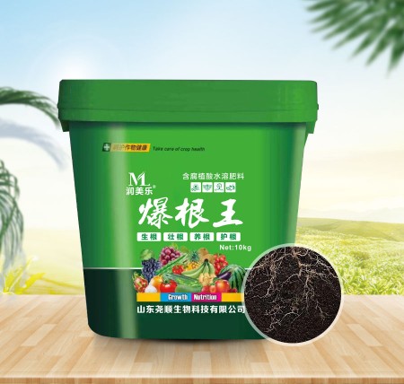爆根王