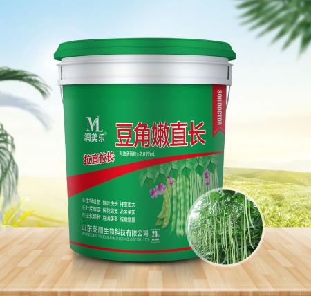 豆角嫩直長(zhǎng)